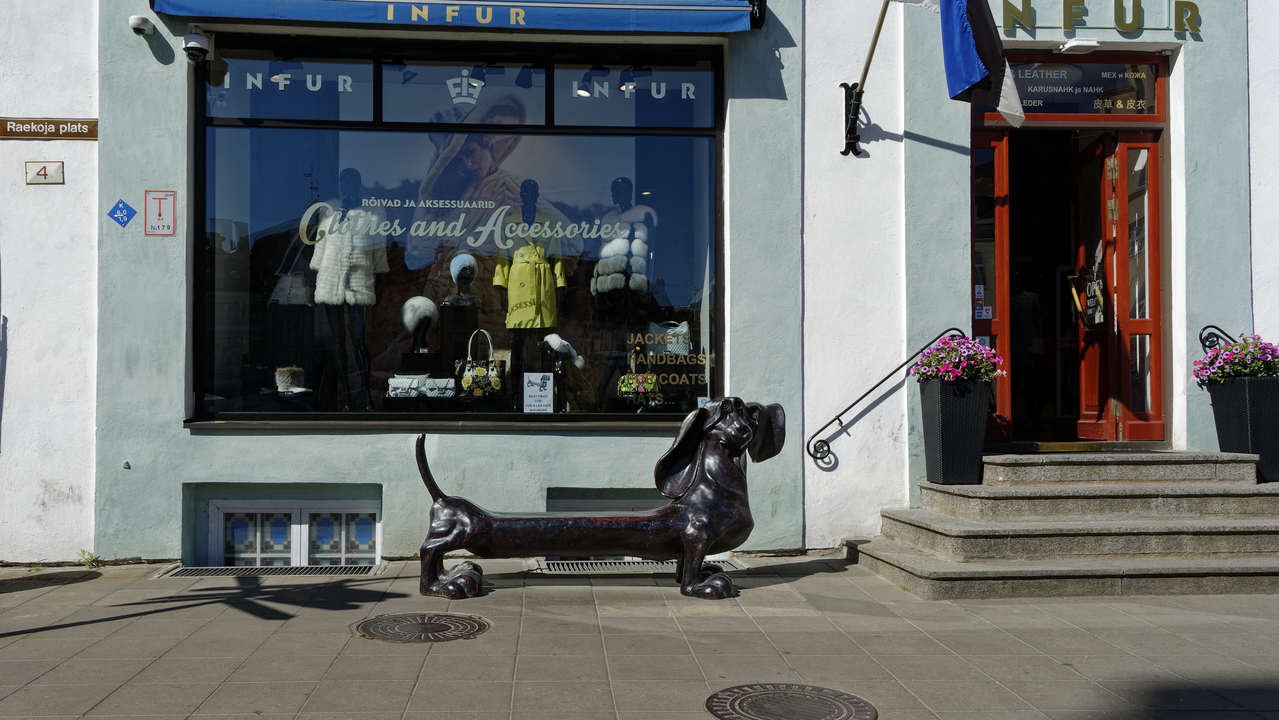 20180614 101505 , Tallinn, Harjumaa, Estonia